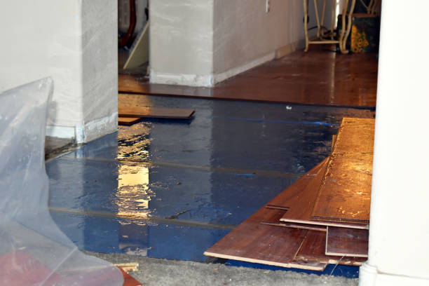 Professional Water Damage Restoration technician working in Poplarville, MS